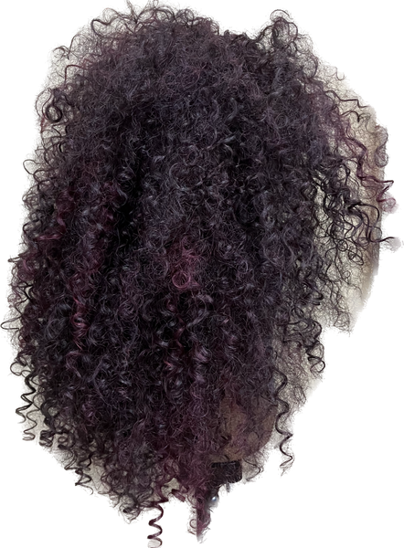 DOMINICAN CURLY